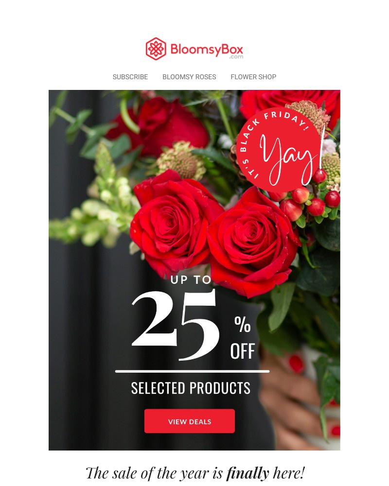 Screenshot of email with subject /media/emails/save-big-this-black-friday-58208b-cropped-c9a89792.jpg