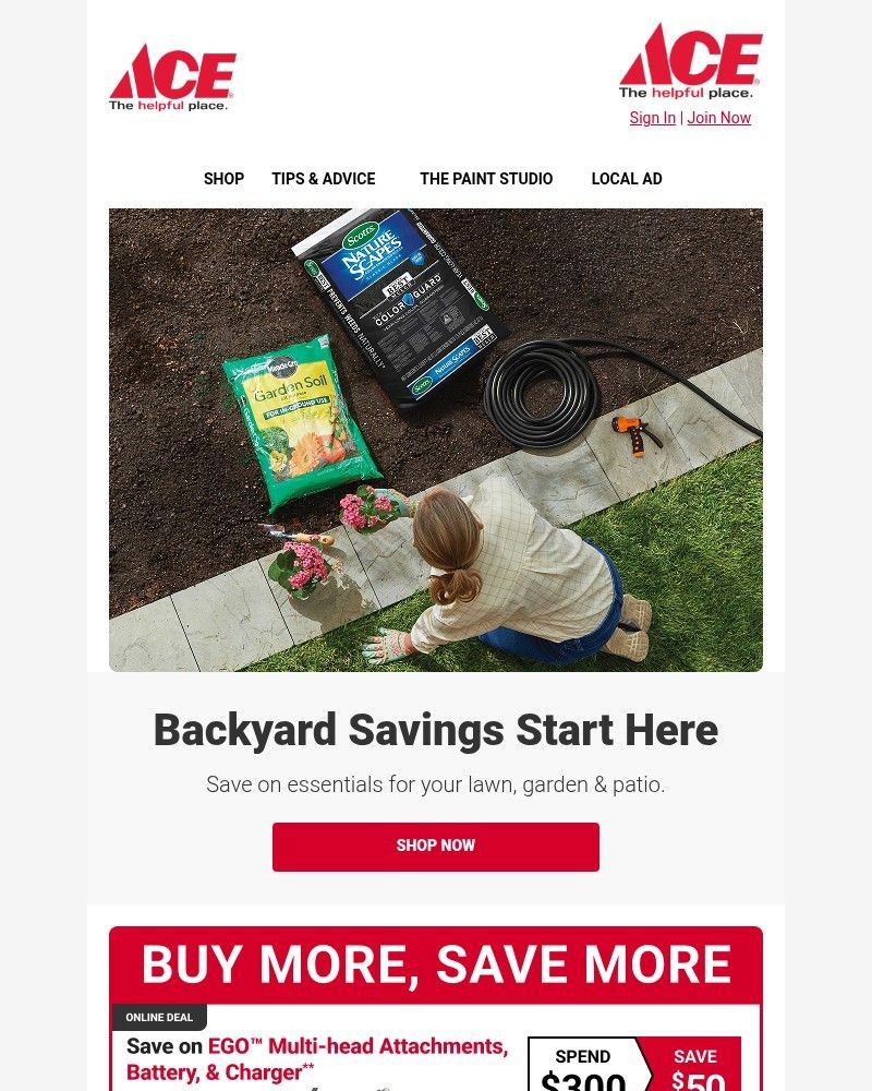 Screenshot of email with subject /media/emails/save-on-all-things-backyard-279bc1-cropped-b5e3586b.jpg