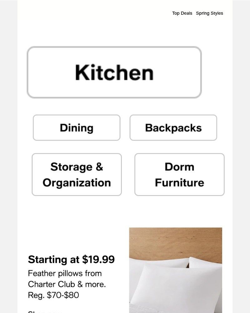 Screenshot of email sent to a Macy's Cart abandoner