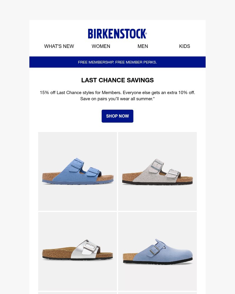 Screenshot of email sent to a Birkenstock Newsletter subscriber