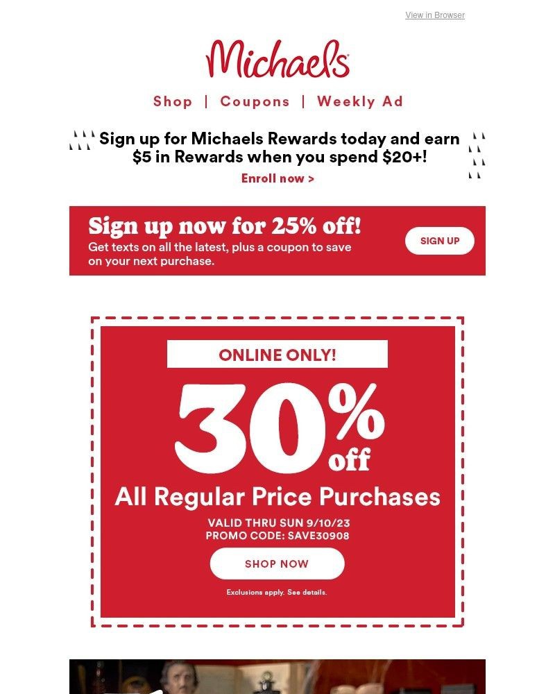 Screenshot of email with subject /media/emails/save-on-your-decor-and-floral-faves-and-more-at-the-big-fall-sale-6dffdf-cropped-2fddfbec.jpg