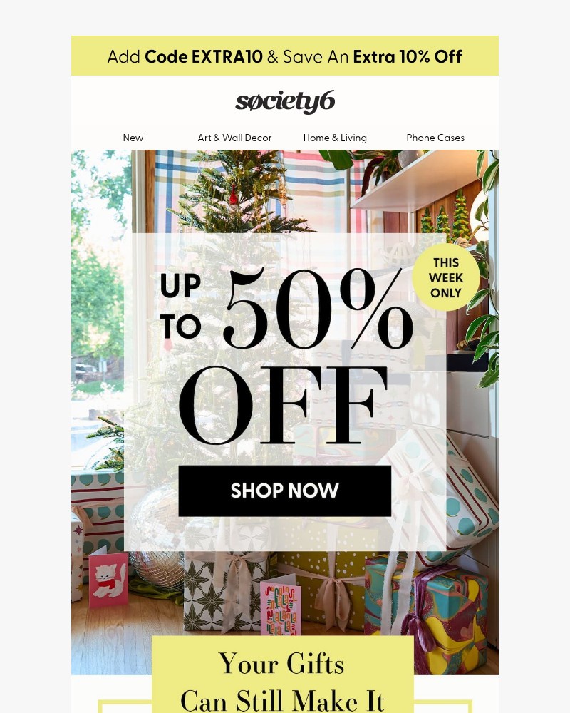 Screenshot of email sent to a Society6 Newsletter subscriber