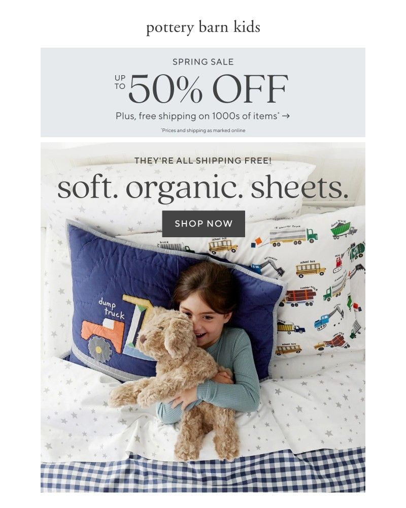 Screenshot of email sent to a Pottery Barn Newsletter subscriber