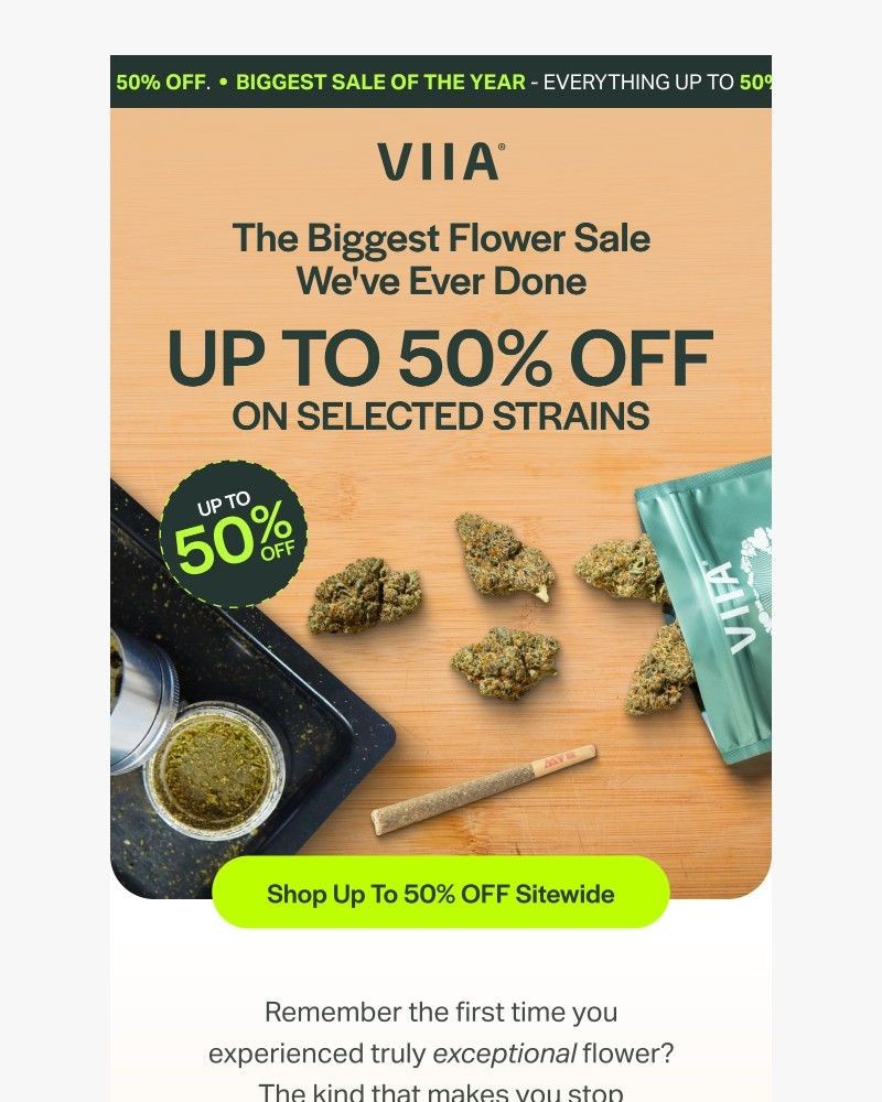 Screenshot of email sent to a VIIA Newsletter subscriber