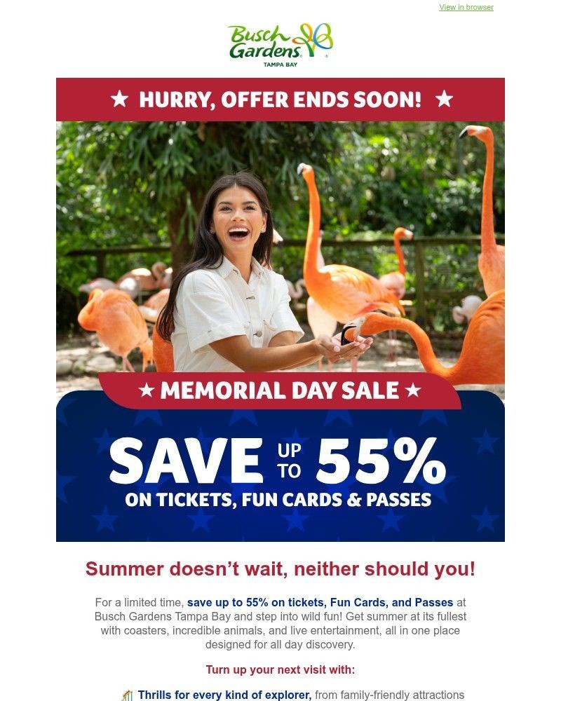 Screenshot of email with subject /media/emails/save-up-to-55-on-admission-d01d70-cropped-c58887e8.jpg