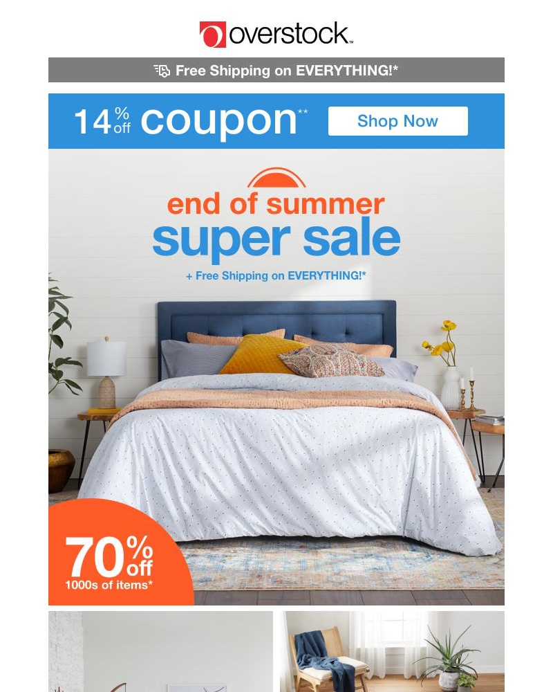 Screenshot of email with subject /media/emails/savings-alert-14-off-coupon-1-million-ways-to-save-find-out-what-we-mean-6ede2e-c_vk0T4gI.jpg