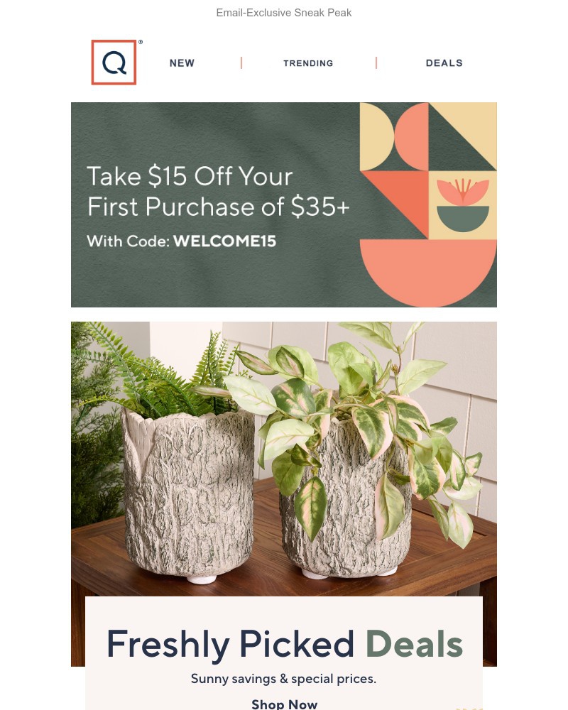 Screenshot of email with subject /media/emails/savings-are-in-season-2523b4-cropped-68f903f8.jpg