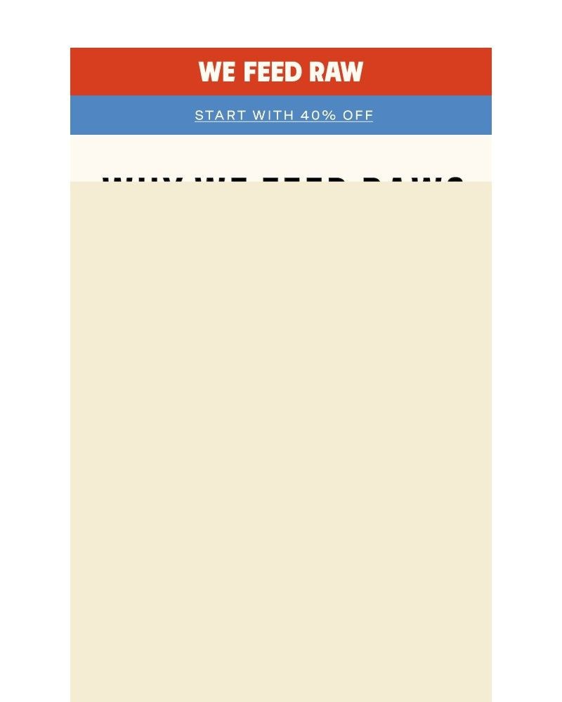 Screenshot of email sent to a We Feed Raw Newsletter subscriber