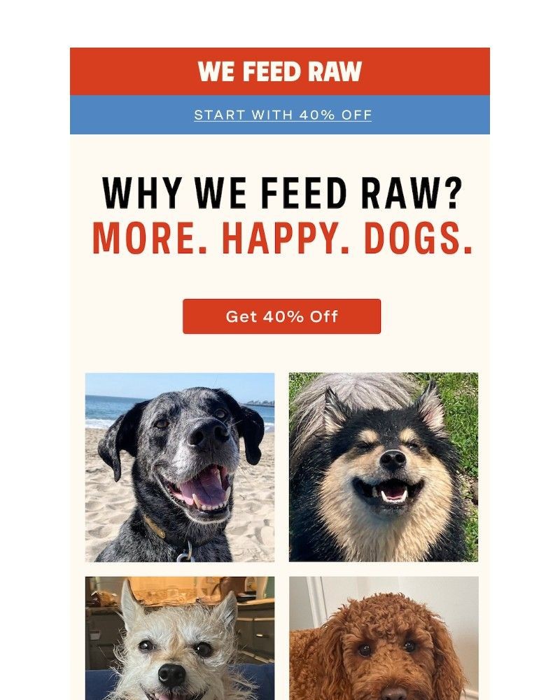 Screenshot of email with subject /media/emails/savings-that-make-your-pup-happy-7098ec-cropped-793970a6.jpg