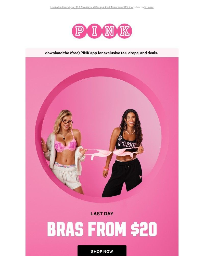 Screenshot of email with subject /media/emails/say-bye-to-20-bras-735-panties-ea0d8e-cropped-84afbc24.jpg