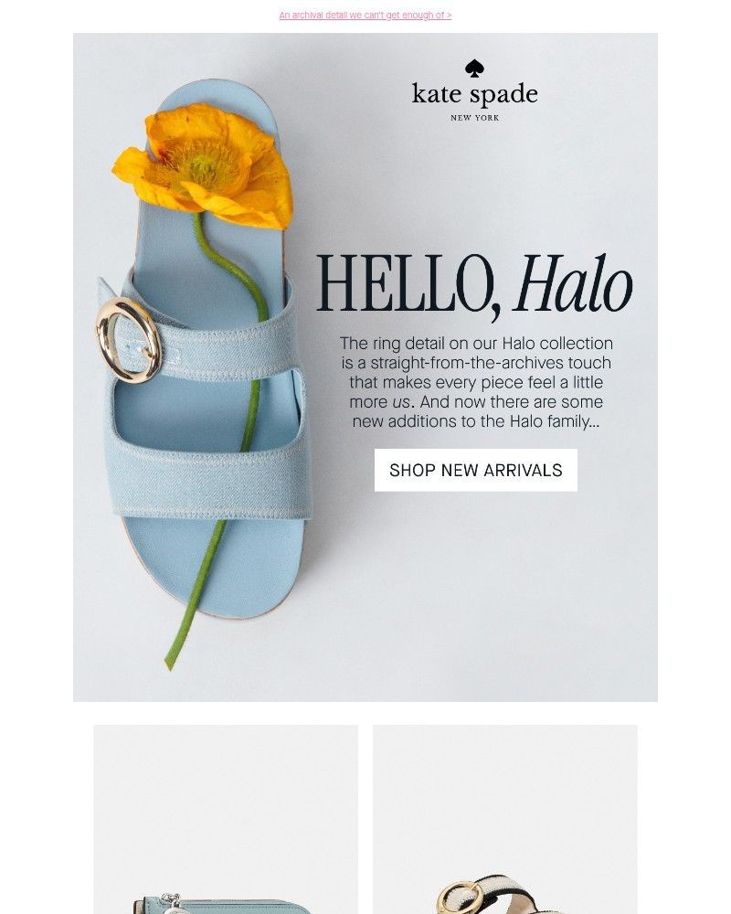Screenshot of email with subject /media/emails/say-hello-to-new-halo-styles-99e356-cropped-ed5ed5dd.jpg
