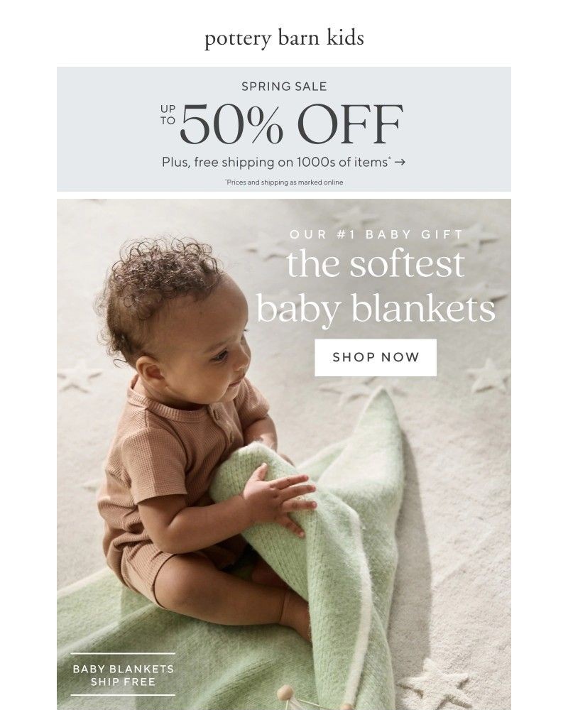 Screenshot of email sent to a Pottery Barn Newsletter subscriber