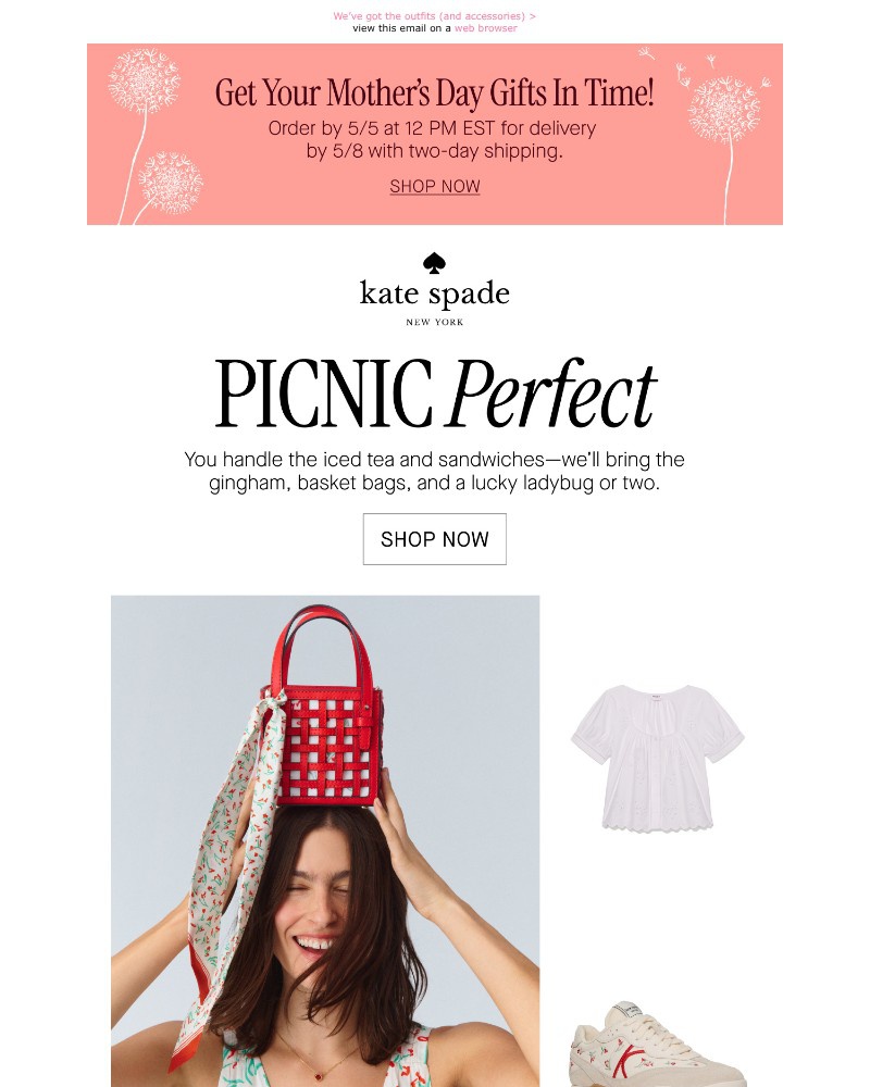 Screenshot of email with subject /media/emails/say-hello-to-picnic-season-889362-cropped-f2f39b74.jpg
