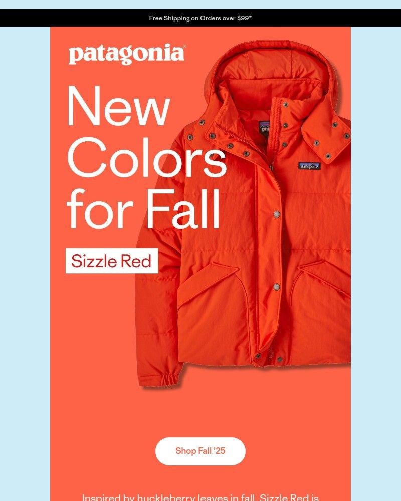 Screenshot of email with subject /media/emails/say-hello-to-sizzle-red-7a2767-cropped-deca98da.jpg