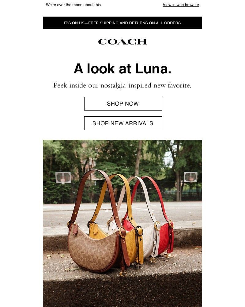 Screenshot of email with subject /media/emails/say-hello-to-the-luna-shoulder-bag-358a7a-cropped-71a0df85.jpg