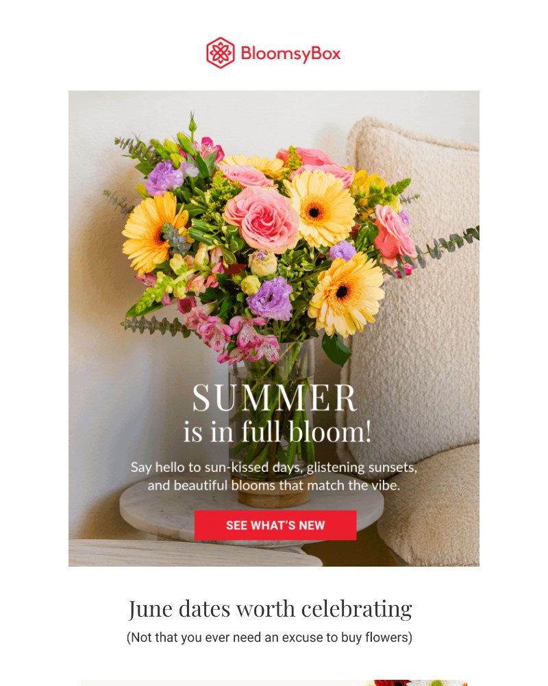 Screenshot of email with subject /media/emails/say-hello-to-the-new-summer-collection-005c5f-cropped-f9e73bda.jpg