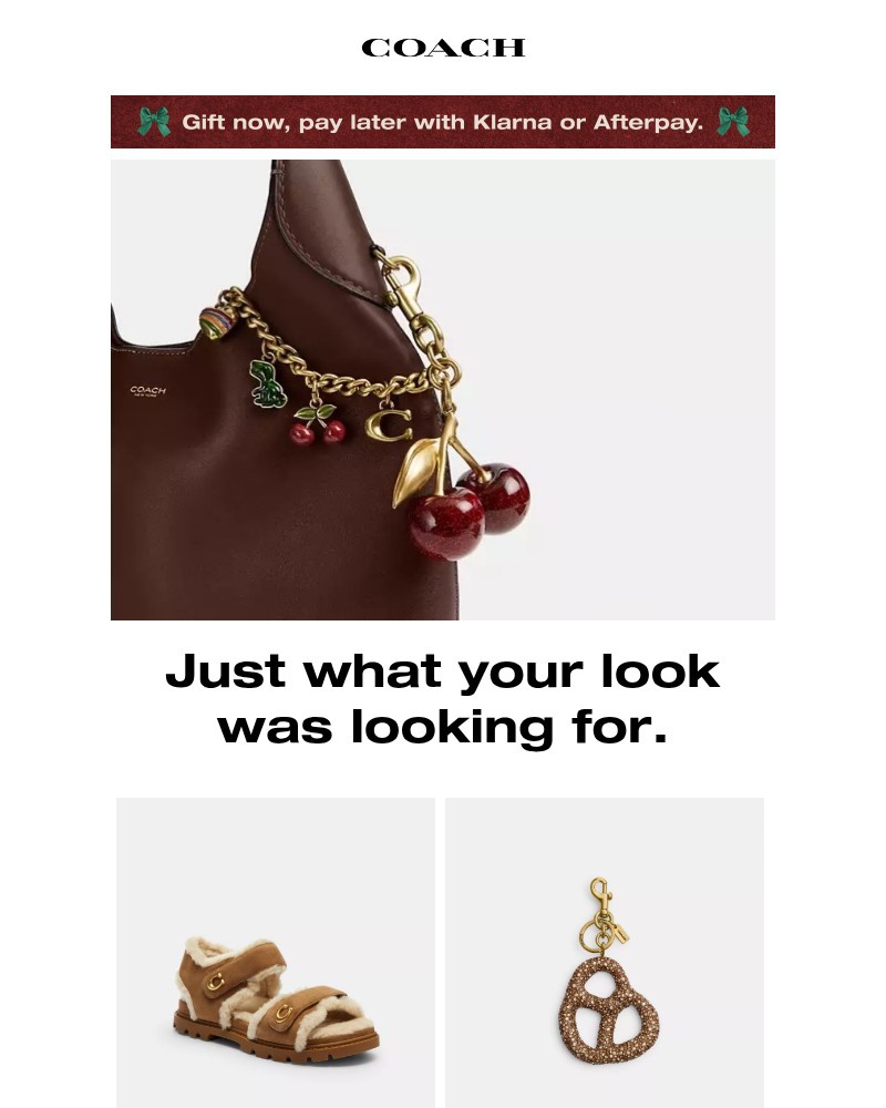 Screenshot of email with subject /media/emails/say-hello-to-your-new-favorite-shoes-6503c9-cropped-564dab6d.jpg