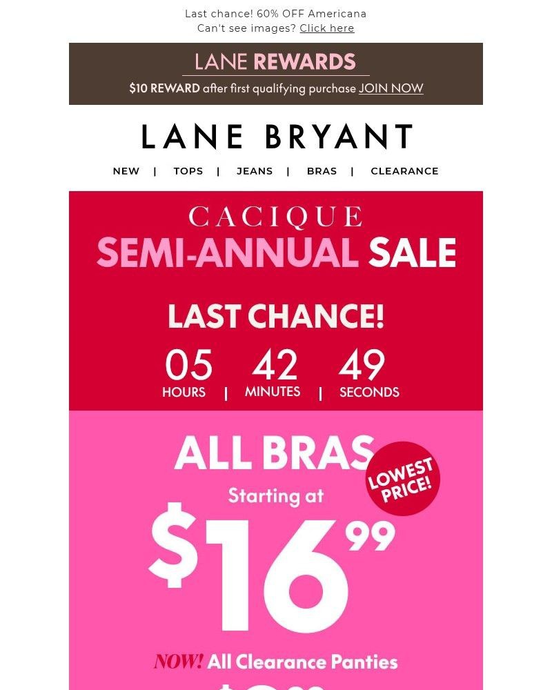 Screenshot of email sent to a Lane Bryant Newsletter subscriber