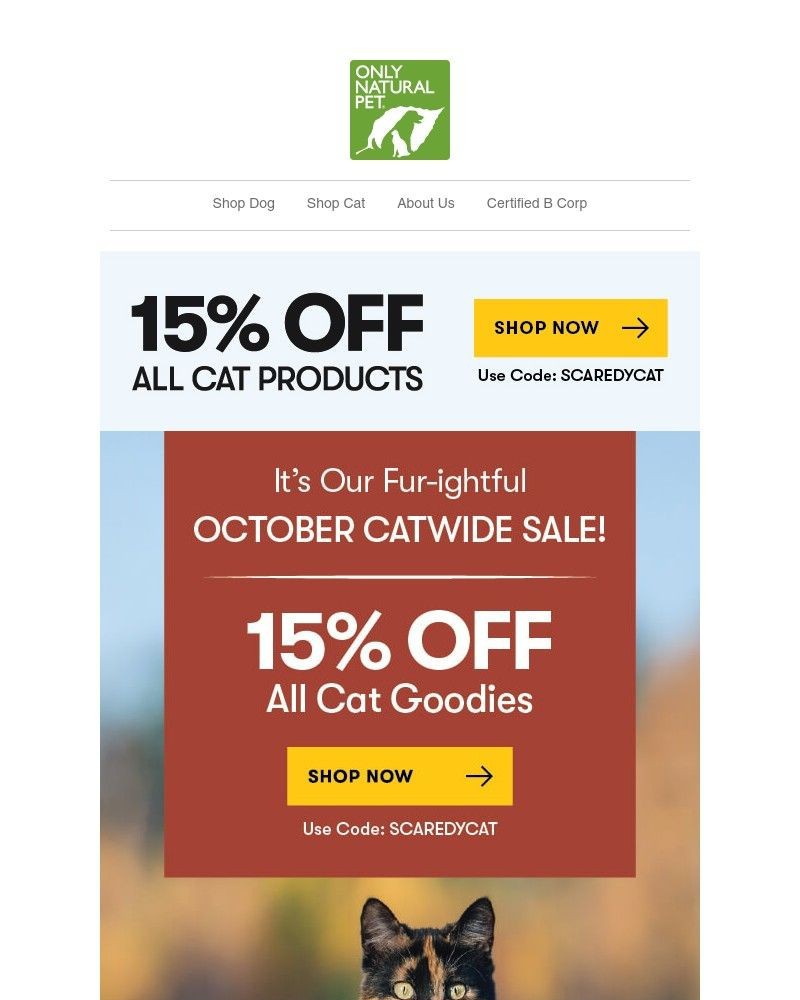 Screenshot of email with subject /media/emails/scare-up-15-off-everything-cat-6820e9-cropped-e9286890.jpg