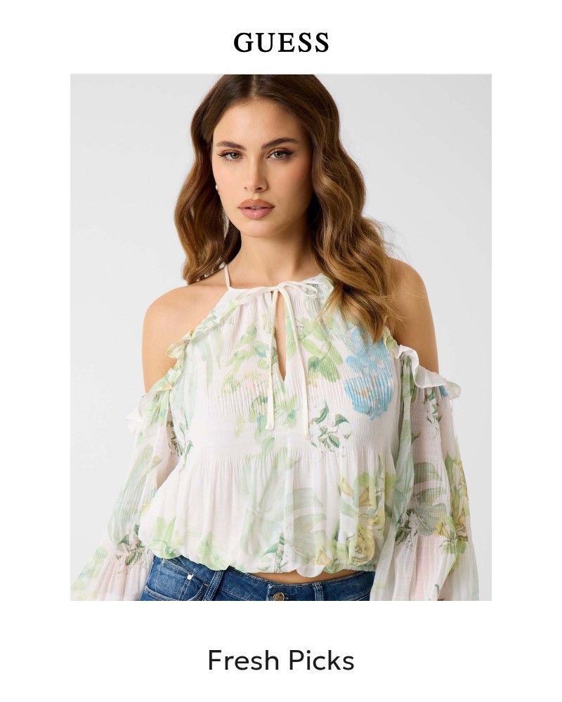 Screenshot of email with subject /media/emails/scenes-from-the-garden-fc7cd9-cropped-ae097952.jpg