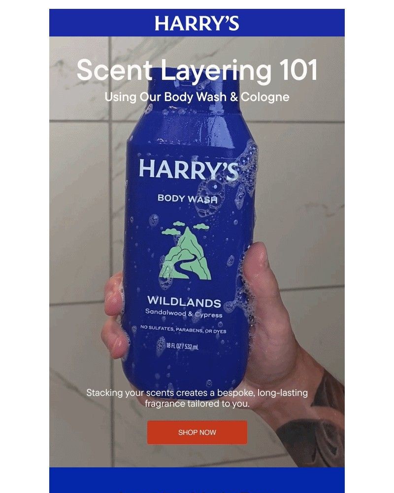 Screenshot of email sent to a Harry's Cart abandoner