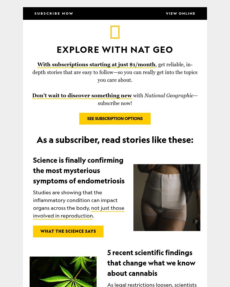 Screenshot of email with subject /media/emails/science-is-finally-confirming-the-mysterious-symptoms-of-endometriosis-plus-new-c_9dN1K8N.jpg