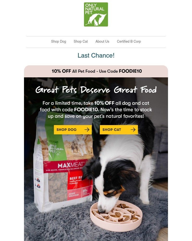 Screenshot of email sent to a Only Natural Pet Newsletter subscriber
