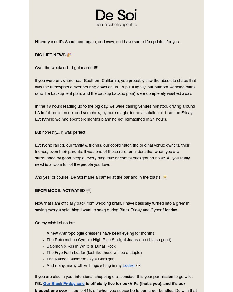 Screenshot of email sent to a De Soi Newsletter subscriber