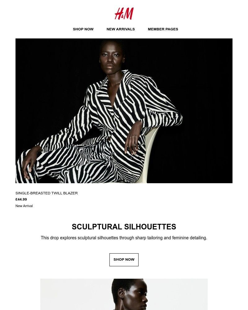 Screenshot of email with subject /media/emails/sculptural-silhouettes-b12389-cropped-1d671b8e.jpg