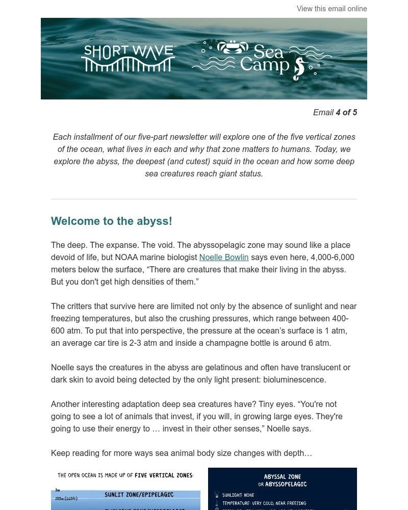 Screenshot of email with subject /media/emails/sea-camp-travels-to-the-abyssal-zone-316c08-cropped-b5a5d177.jpg