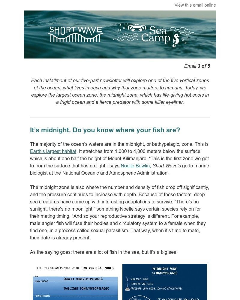 Screenshot of email with subject /media/emails/sea-camp-travels-to-the-midnight-zone-f325b6-cropped-5cfca956.jpg