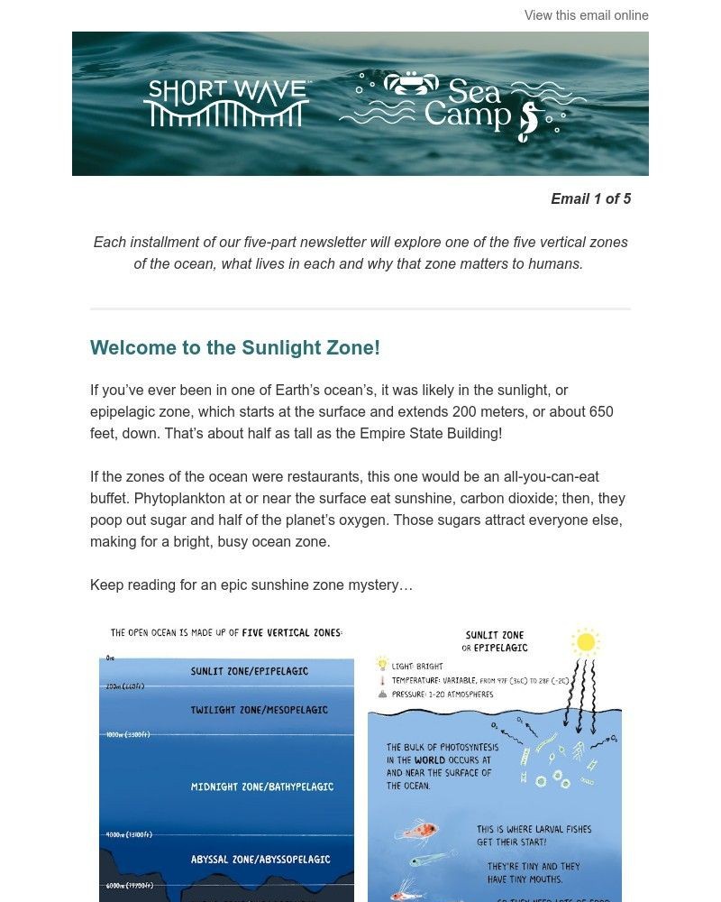 Screenshot of email with subject /media/emails/sea-camp-travels-to-the-sunlight-zone-d2c9a7-cropped-6e8c4331.jpg