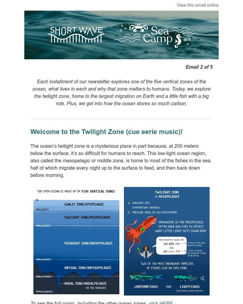 Screenshot of email with subject /media/emails/sea-camp-travels-to-the-twilight-zone-a10367-cropped-17e876fb.jpg