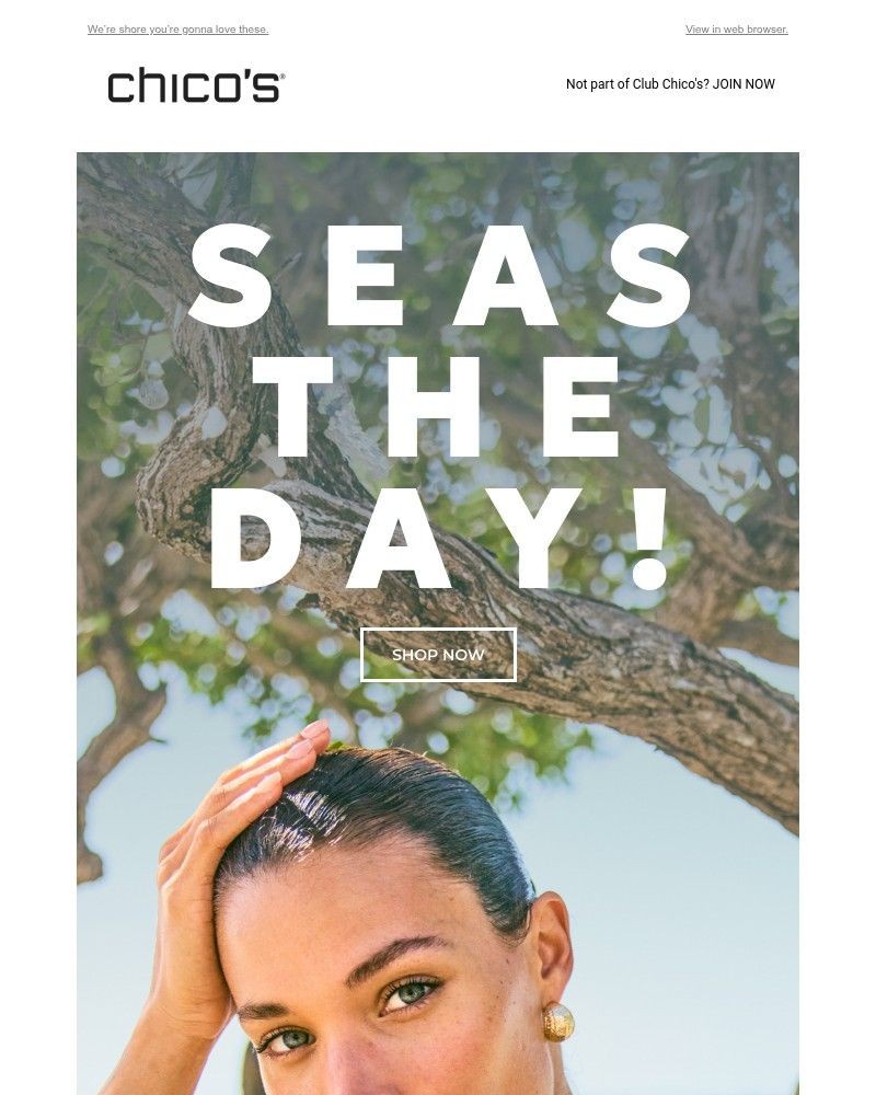 Screenshot of email with subject /media/emails/sea-whats-new-40-off-2-cc78f3-cropped-102c6351.jpg