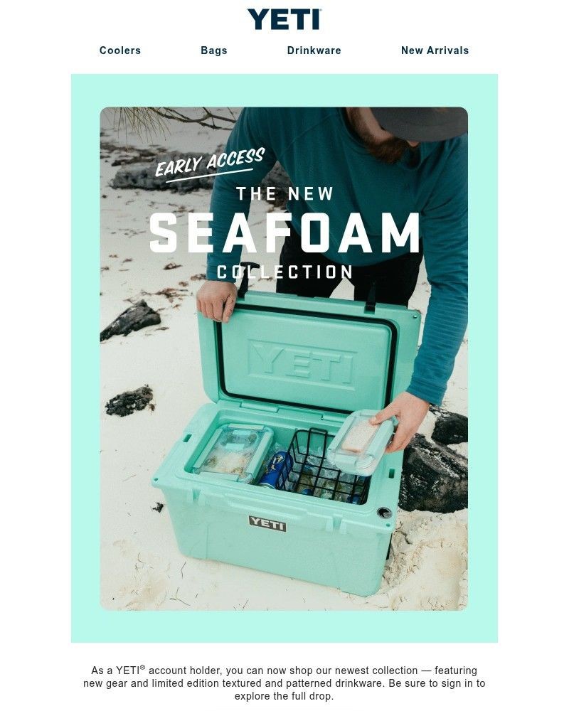 Screenshot of email with subject /media/emails/seafoam-is-here-07fff1-cropped-0ca3e36e.jpg
