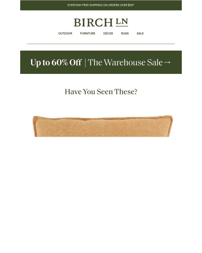 Screenshot of email with subject /media/emails/searching-for-a-forever-home-the-burbank-accent-pillow-347b78-cropped-129c61d1.jpg