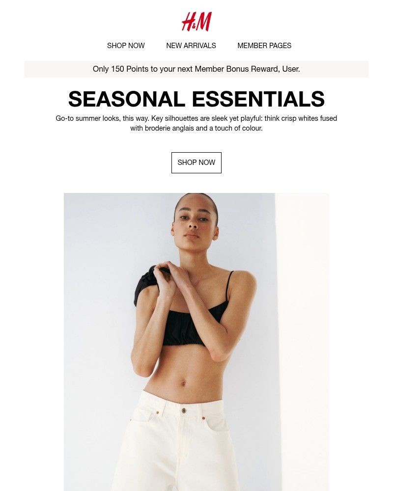 Screenshot of email with subject /media/emails/seasonal-essentials-77dc72-cropped-45ccc1b4.jpg