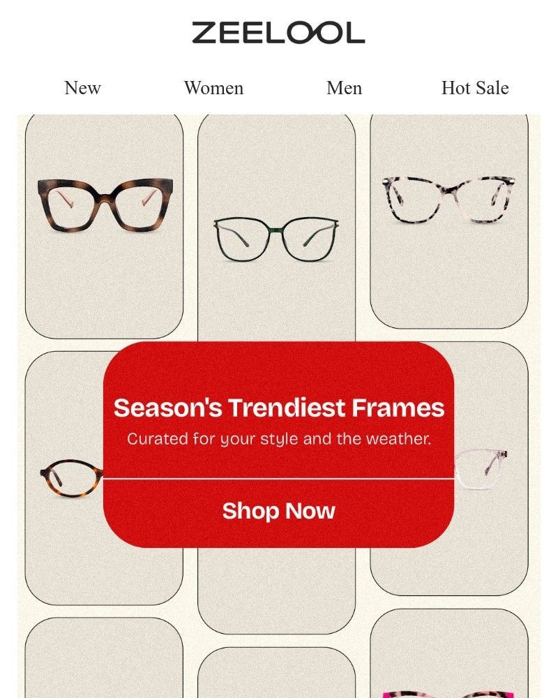 Screenshot of email sent to a Zeelool Newsletter subscriber