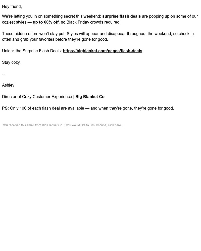 Screenshot of email with subject /media/emails/secret-flash-deals-up-to-60-off-aa86ed-cropped-9b43bca7.jpg