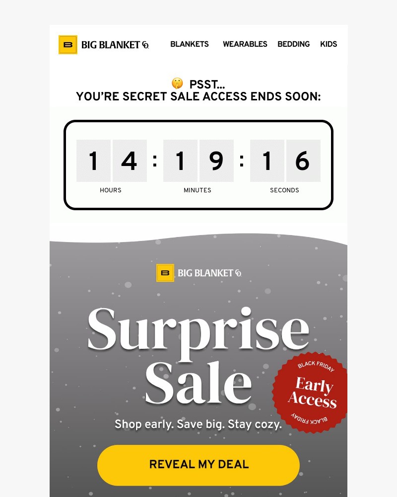 Screenshot of email sent to a Big Blanket Co. Newsletter subscriber