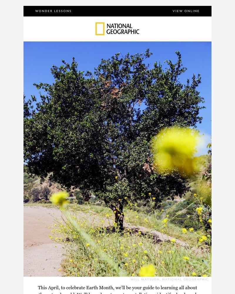 Screenshot of email with subject /media/emails/secrets-of-the-science-transforming-your-time-outside-plus-become-a-tree-expertin_8kMp4DI.jpg