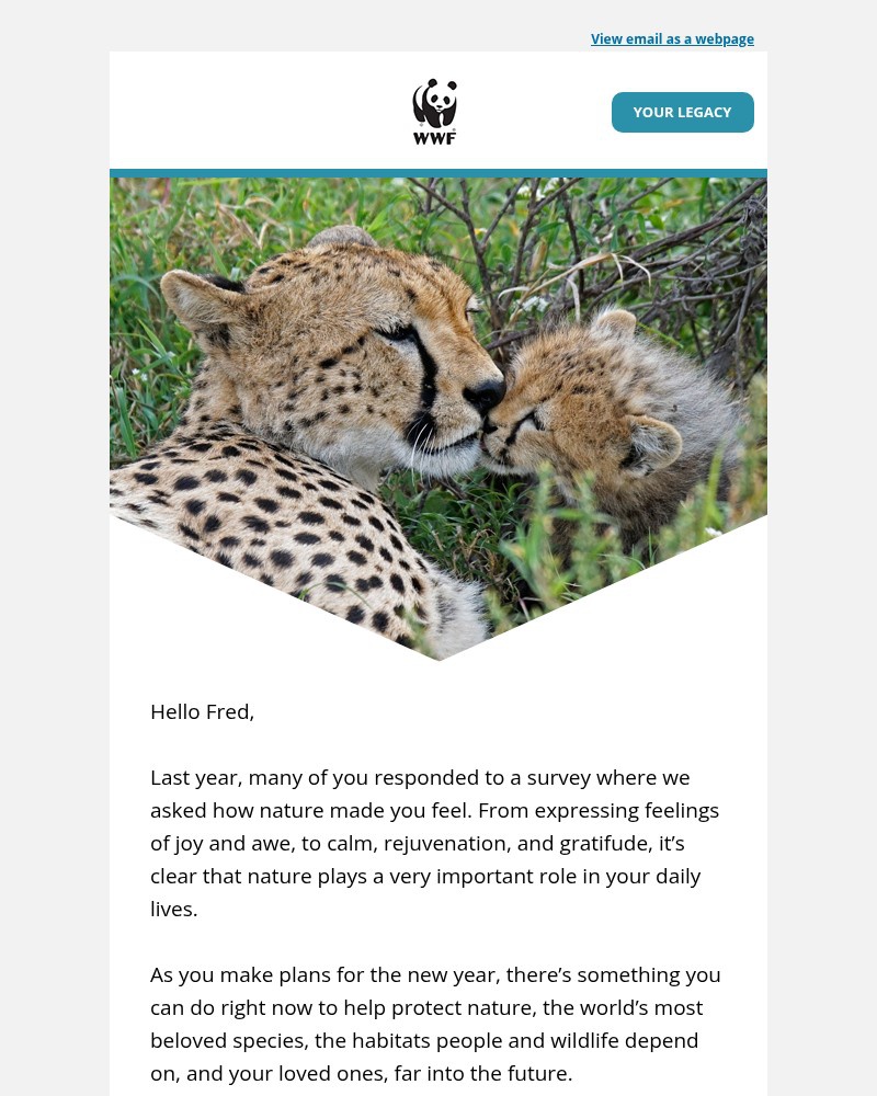 Screenshot of email with subject /media/emails/secure-a-sustainable-future-this-new-year-1efa71-cropped-1b1567ab.jpg