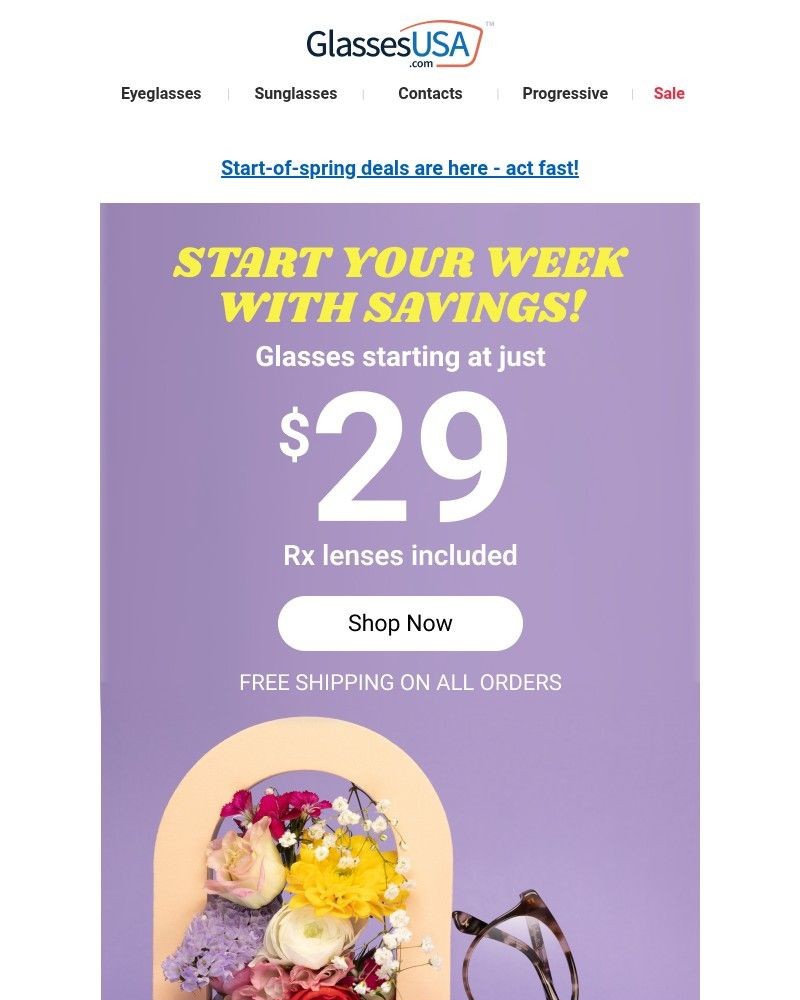 Screenshot of email sent to a Glasses USA Newsletter subscriber