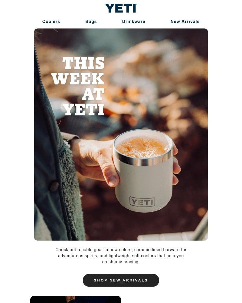 Screenshot of email with subject /media/emails/see-what-just-landed-514cc0-cropped-c821d951.jpg