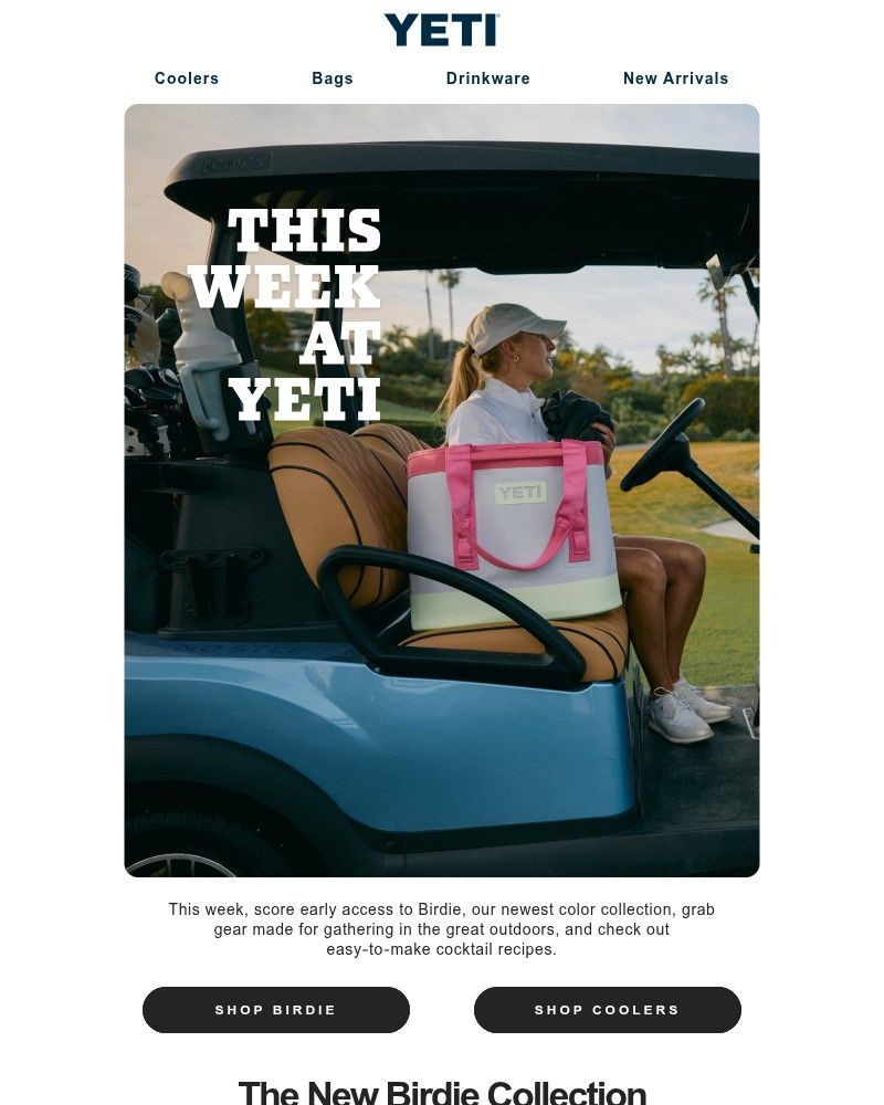 Screenshot of email sent to a Yeti Newsletter subscriber