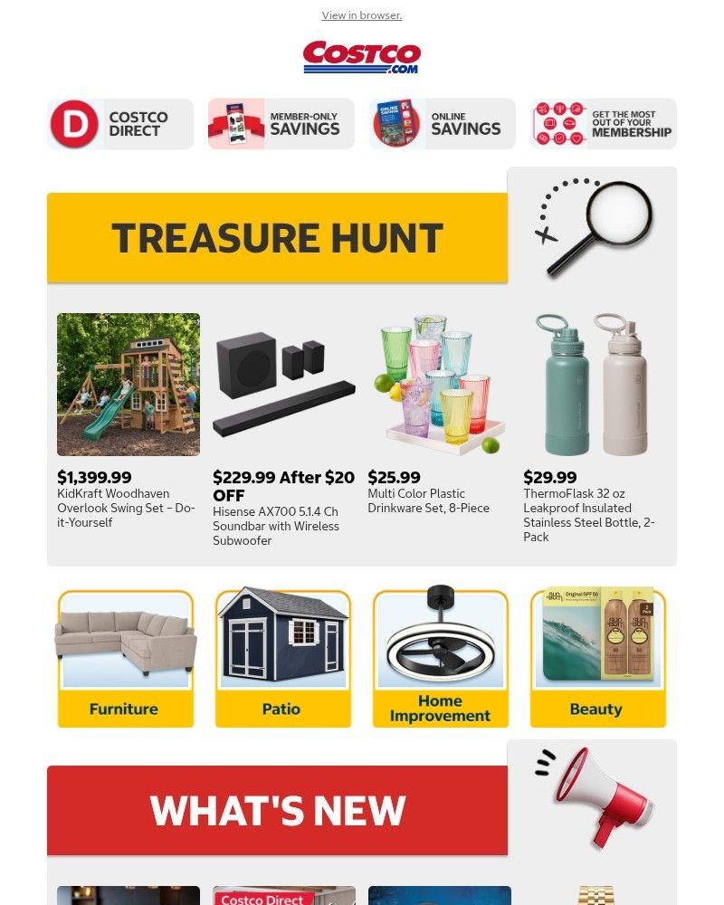 Screenshot of email sent to a Costco Newsletter subscriber