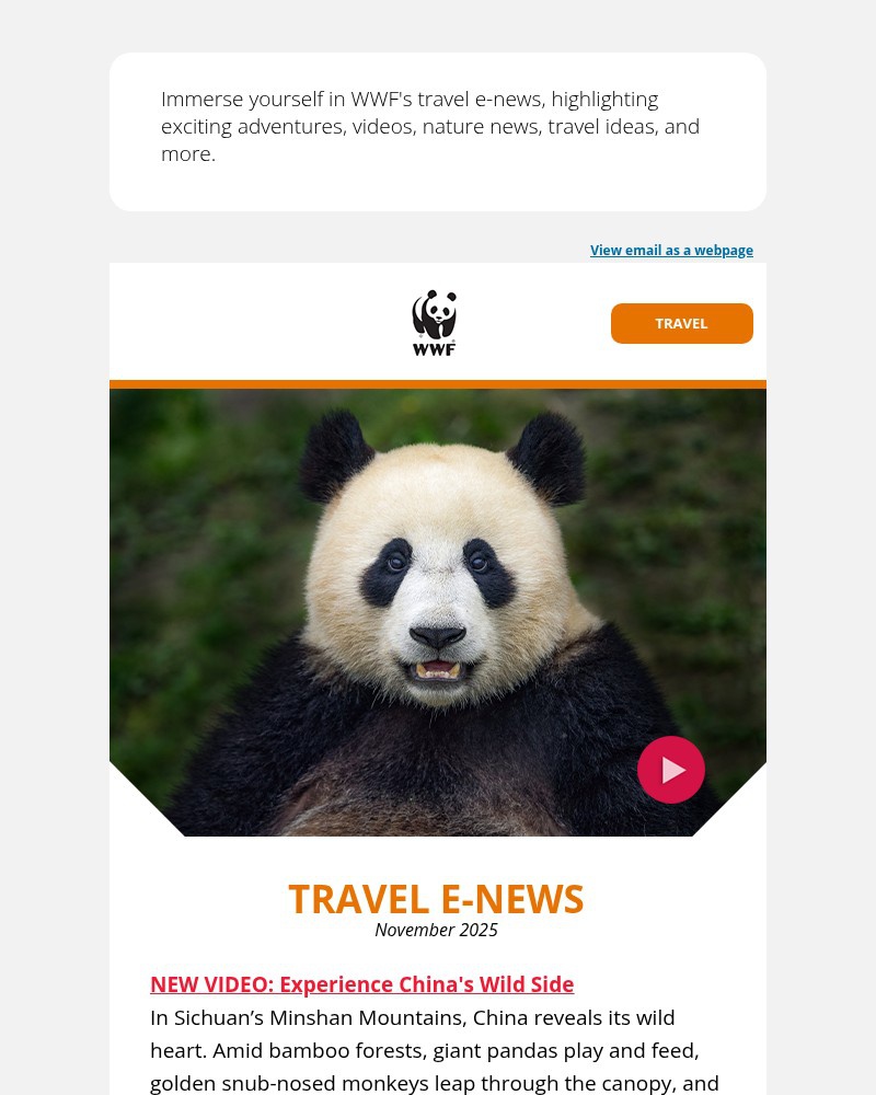 Screenshot of email with subject /media/emails/seeing-pandas-in-the-wild-c4edfb-cropped-c9600fef.jpg