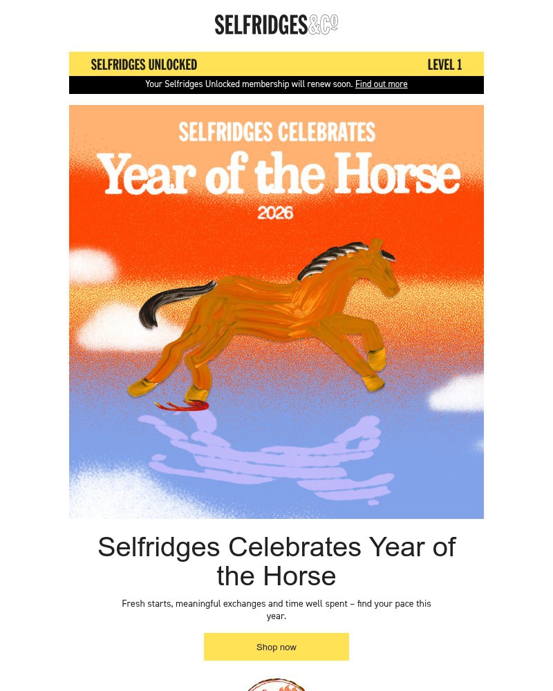 Screenshot of email sent to a Selfridges Newsletter subscriber
