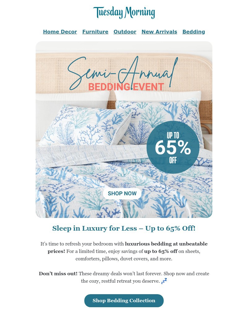 Screenshot of email with subject /media/emails/semi-annual-bedding-event-up-to-65-off-f15f4d-cropped-0b9122cf.jpg