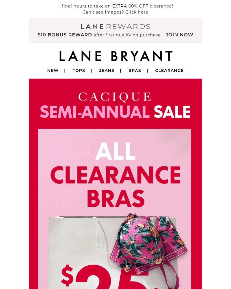 Screenshot of email with subject /media/emails/semi-annual-sale-25-bras-5-free-panties-a7fdc4-cropped-773e7fb6.jpg